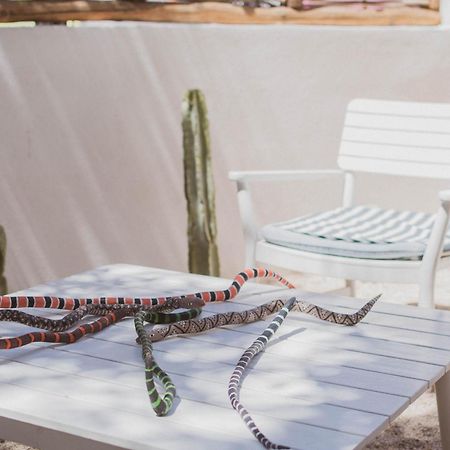 The Mantarraya Outpost Bed and Breakfast La Paz Εξωτερικό φωτογραφία