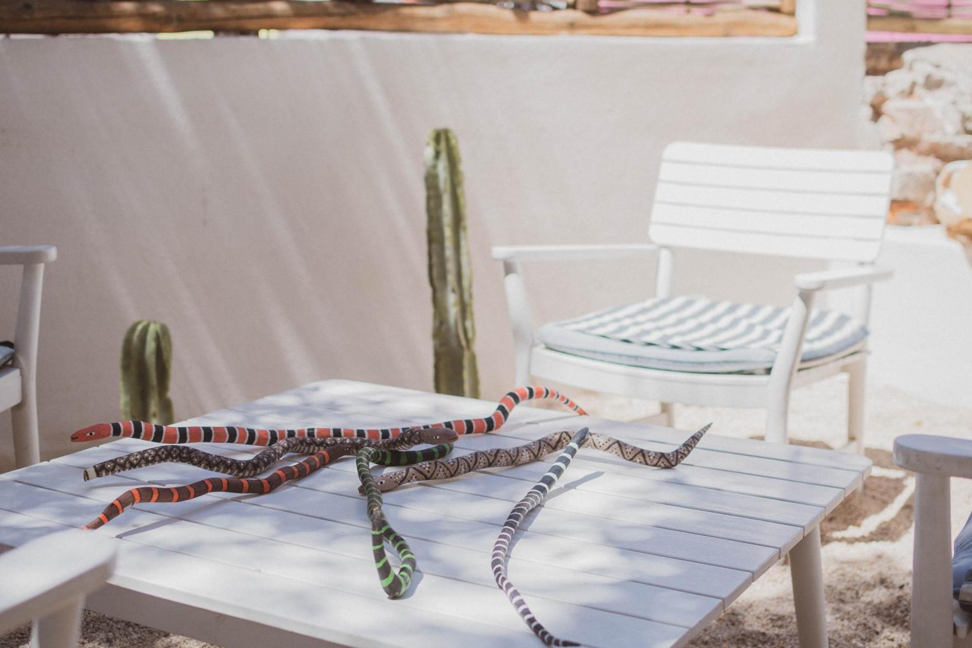 The Mantarraya Outpost Bed and Breakfast La Paz Εξωτερικό φωτογραφία